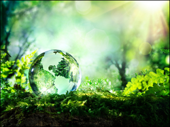 Per una nuova visione del diritto all’ambiente