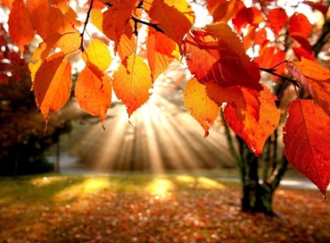 L’autunno tiepido della politica