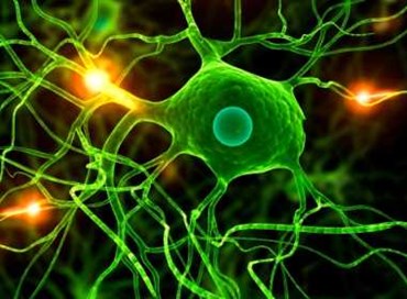 Il Nobel della Chimica al “fermo immagine vita”