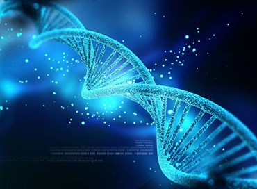 “Zippato” il Dna, come si fa con i file pesanti