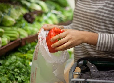 Il buon senso non è biodegradabile