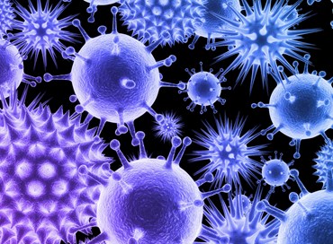 Il virus devastante della sinistra italiana
