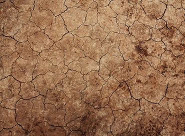 Il Rogo (senza CO2) dei Negazionisti
