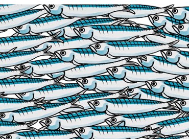 Le sardine neuro programmate della sinistra artificiale