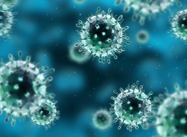 Ecco come il virus dell’antirazzismo ideologico ci ha portato il coronavirus