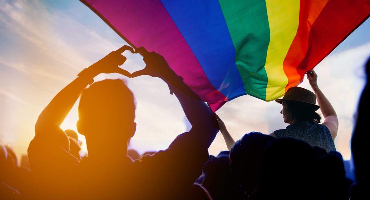 L Opinione Delle Liberta