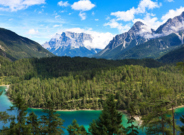 Le foreste e l’innovazione tecnologica in Canada