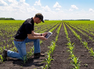 Una piattaforma digitale per l’agroalimentare autoctono