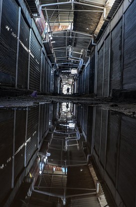 L Opinione Delle Liberta