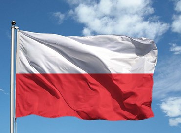 Polonia e cavilli