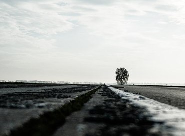 Rivogliamo il Gosplan