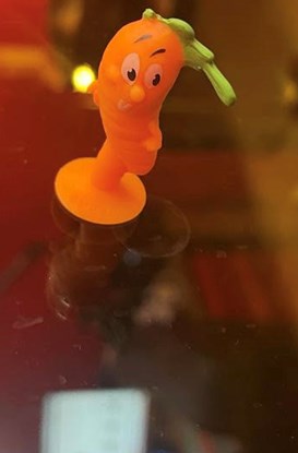 Appesi a una carota  