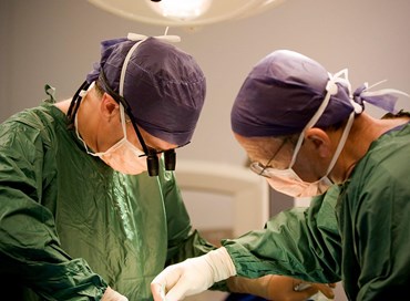 Giornata nazionale della donazione e del trapianto