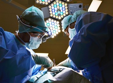 Il lavoro “nero”: crescete e moltiplicatevi!