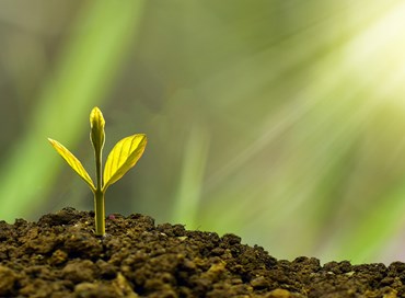 Siamo tornati al localismo: così non si cresce