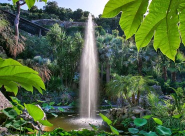I Giardini della Mortella: un pegno d’amore