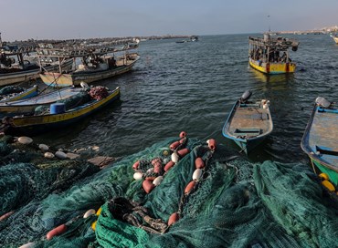 Acquacoltura, a Sealogy le nuove dinamiche