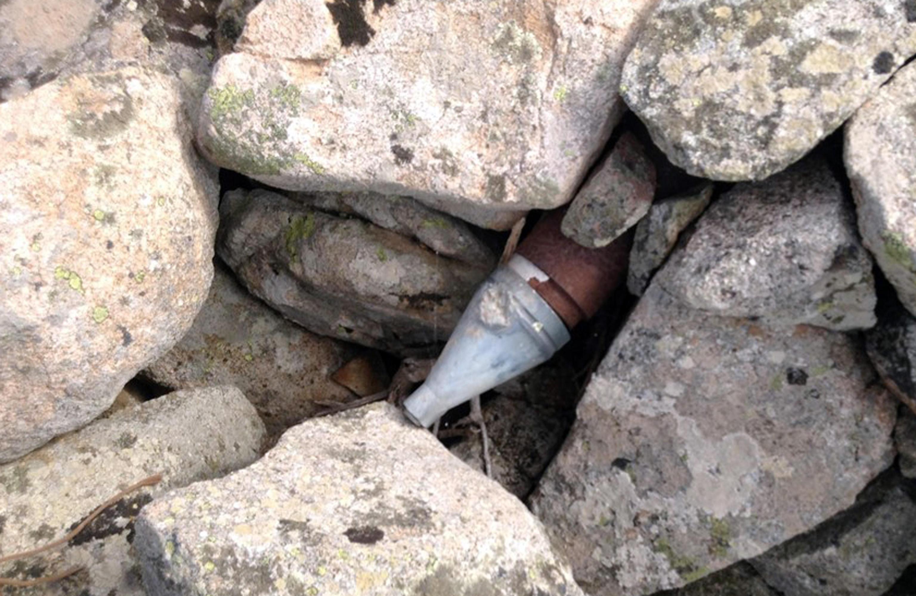 Esche Da Pesca SwimBas Ad Affondamento Lento 30G Whopper Vibration - Foto 10