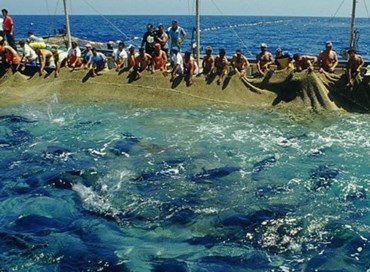 “L’ultimo rais di Favignana”, un racconto epico e appassionato